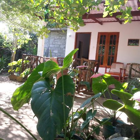 Sigiri Sansi Homestay Σιγκιρίγια Εξωτερικό φωτογραφία