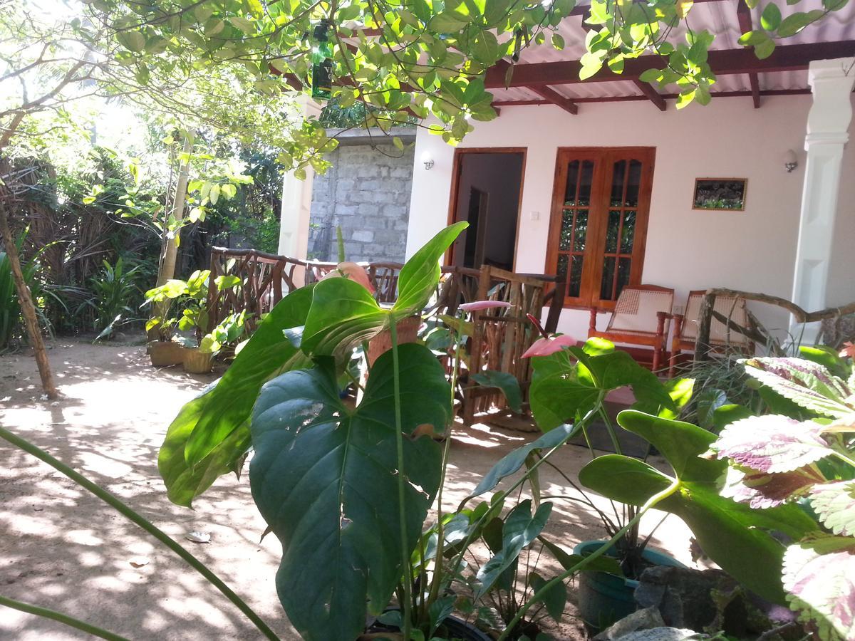 Sigiri Sansi Homestay Σιγκιρίγια Εξωτερικό φωτογραφία